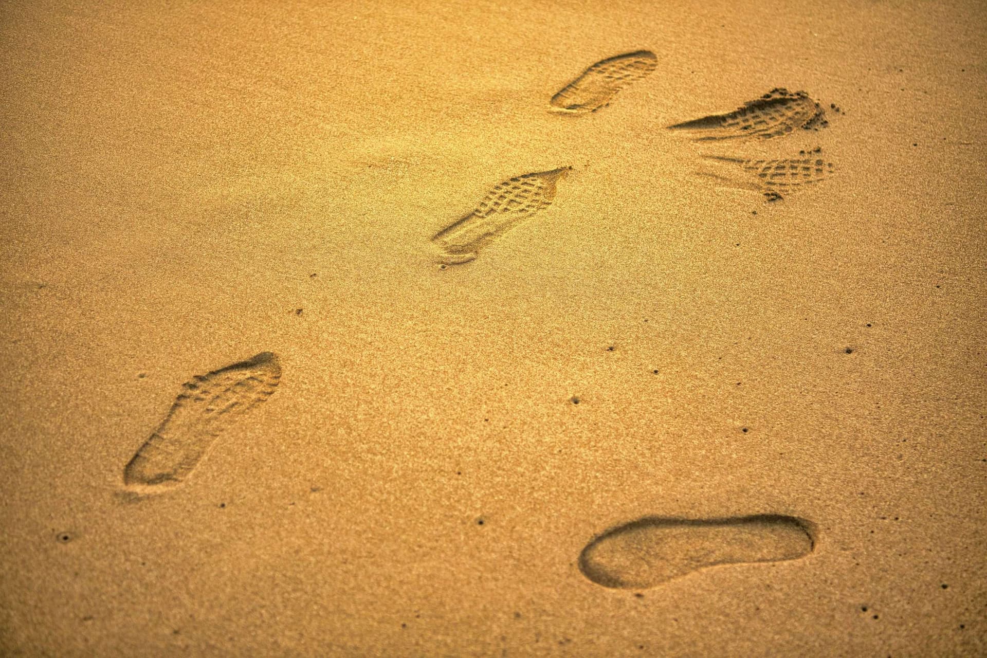 Descubra como fazer uma análise de mercado eficiente